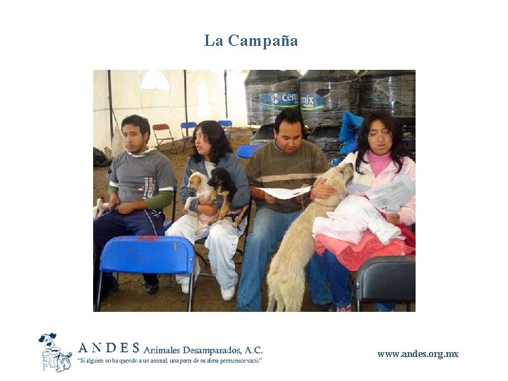 La Campaña www. andes. org. mx 