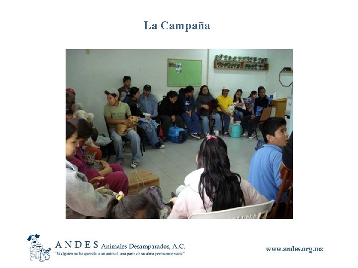 La Campaña www. andes. org. mx 
