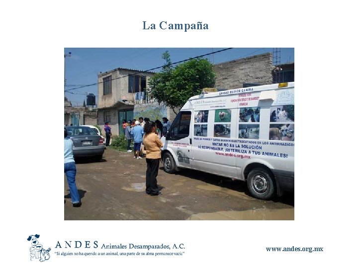 La Campaña www. andes. org. mx 