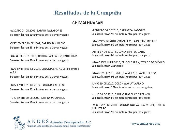 Resultados de la Campaña CHIMALHUACAN -AGOSTO 08 DE 2009, BARRIO TALLADORES Se esterilizaron 60