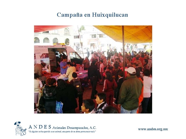 Campaña en Huixquilucan www. andes. org. mx 