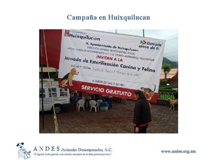 Campaña en Huixquilucan www. andes. org. mx 