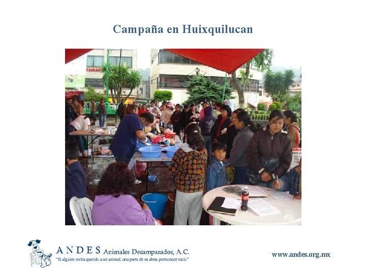 Campaña en Huixquilucan www. andes. org. mx 