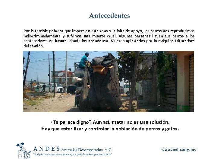 Antecedentes Por la terrible pobreza que impera en esta zona y la falta de