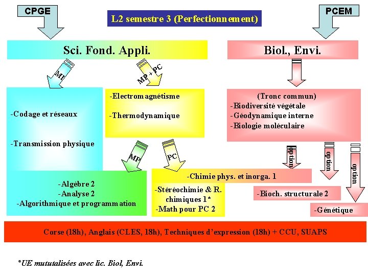 CPGE PCEM L 2 semestre 3 (Perfectionnement) Sci. Fond. Appli. M I M P