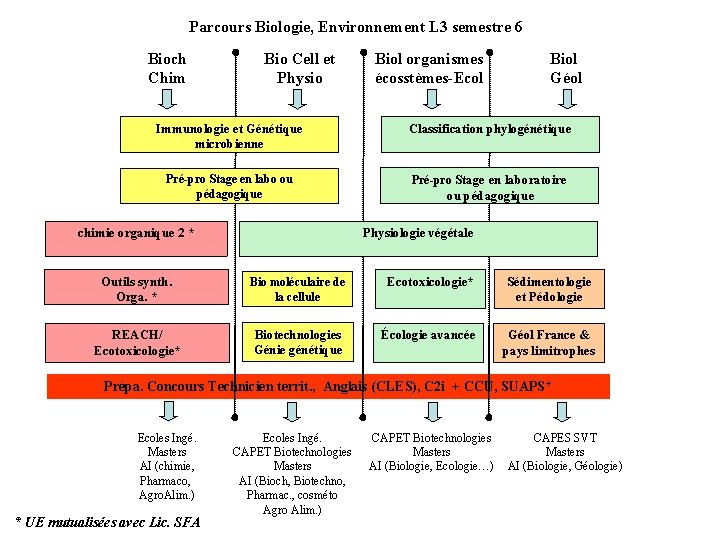 Parcours Biologie, Environnement L 3 semestre 6 Bioch Chim Bio Cell et Physio Biol