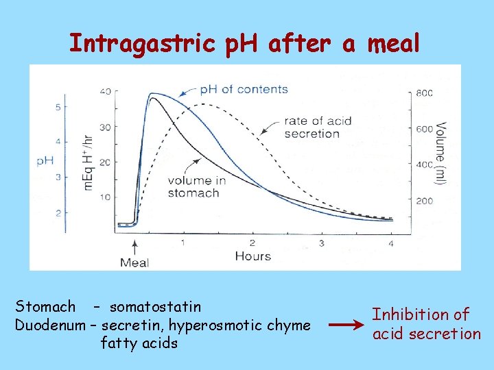 Intragastric p. H after a meal Stomach – somatostatin Duodenum – secretin, hyperosmotic chyme