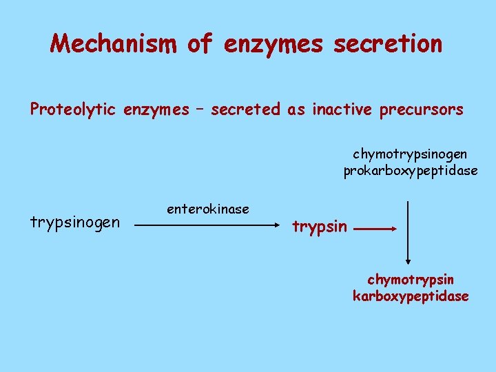 Mechanism of enzymes secretion Proteolytic enzymes – secreted as inactive precursors chymotrypsinogen prokarboxypeptidase trypsinogen
