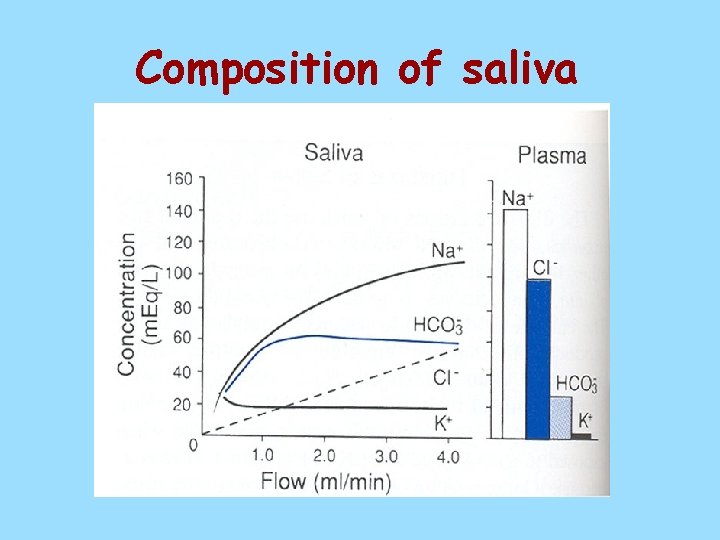 Composition of saliva 