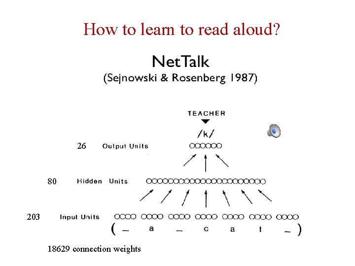 How to learn to read aloud? Neural networks 26 80 203 18629 connection weights