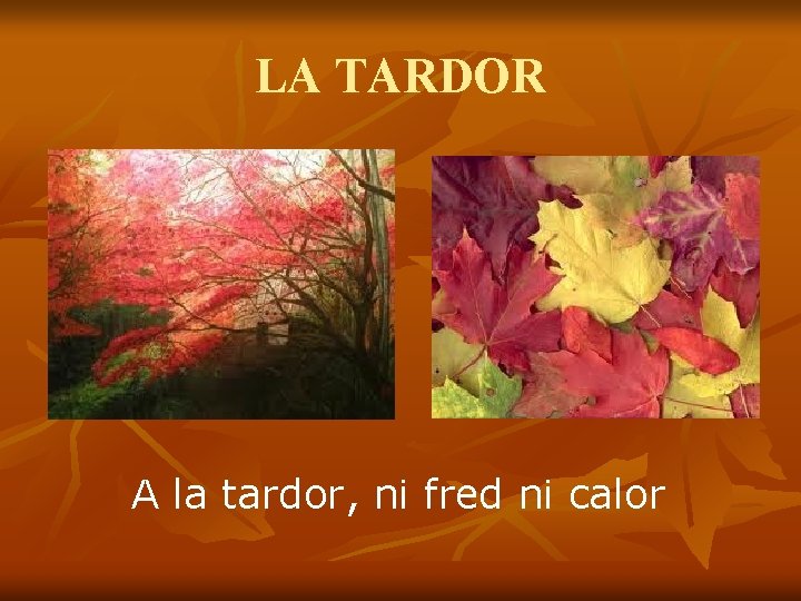 LA TARDOR A la tardor, ni fred ni calor 