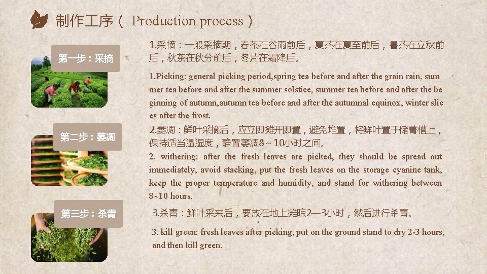 制作 序（ Production process） 第一步：采摘 1. 采摘：一般采摘期，春茶在谷雨前后，夏茶在夏至前后，暑茶在立秋前 后，秋茶在秋分前后，冬片在霜降后。 1. Picking: general picking period, spring