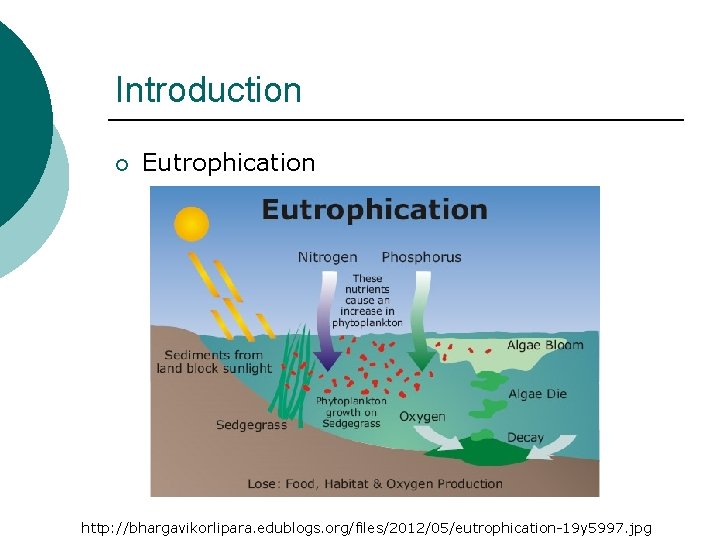 Introduction ¡ Eutrophication http: //bhargavikorlipara. edublogs. org/files/2012/05/eutrophication-19 y 5997. jpg 