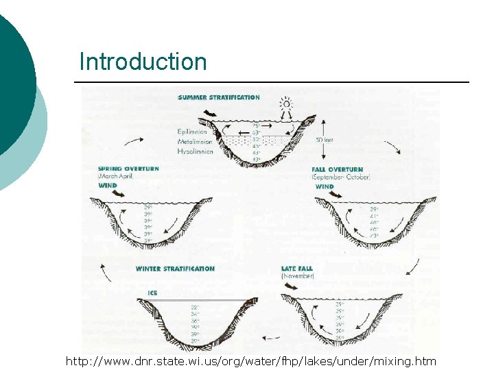 Introduction http: //www. dnr. state. wi. us/org/water/fhp/lakes/under/mixing. htm 