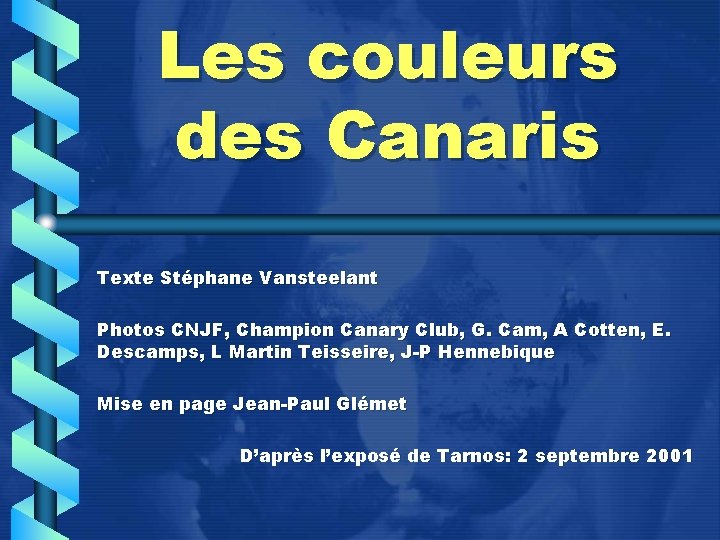 Les couleurs des Canaris Texte Stéphane Vansteelant Photos CNJF, Champion Canary Club, G. Cam,