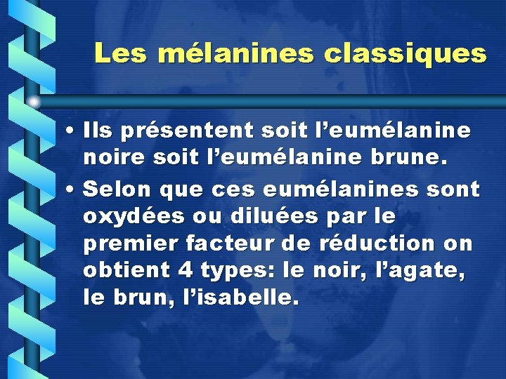 Les mélanines classiques • Ils présentent soit l’eumélanine noire soit l’eumélanine brune. • Selon