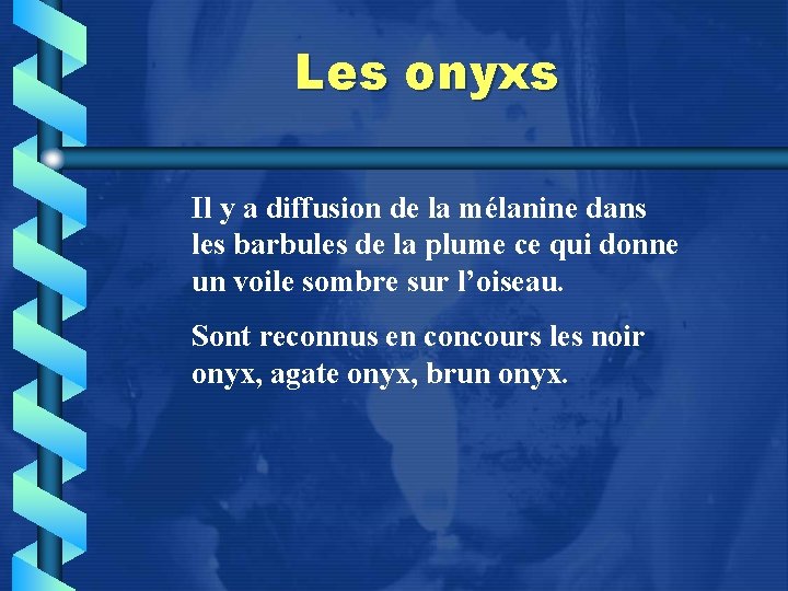 Les onyxs Il y a diffusion de la mélanine dans les barbules de la