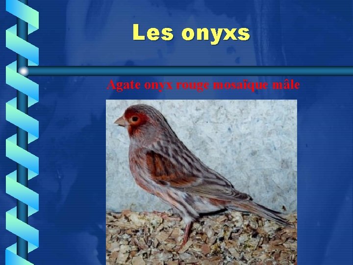 Les onyxs Agate onyx rouge mosaïque mâle 