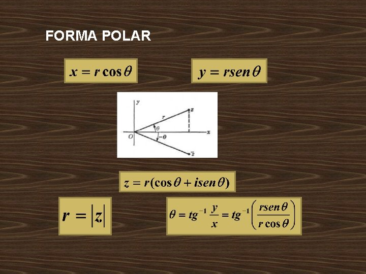 FORMA POLAR 