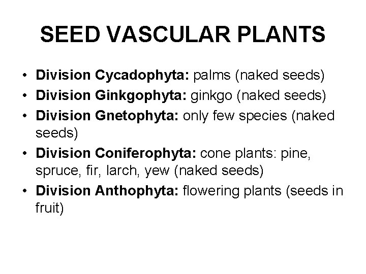 SEED VASCULAR PLANTS • Division Cycadophyta: palms (naked seeds) • Division Ginkgophyta: ginkgo (naked