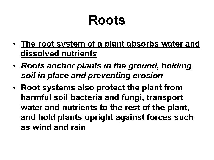 Roots • The root system of a plant absorbs water and dissolved nutrients •