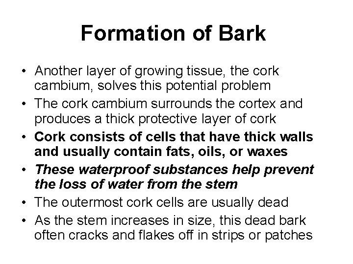 Formation of Bark • Another layer of growing tissue, the cork cambium, solves this