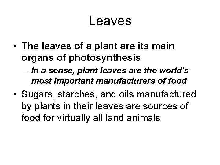 Leaves • The leaves of a plant are its main organs of photosynthesis –
