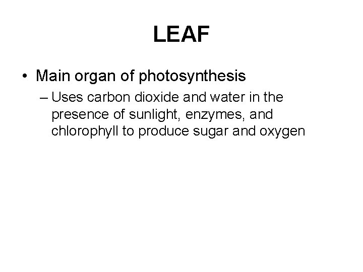 LEAF • Main organ of photosynthesis – Uses carbon dioxide and water in the