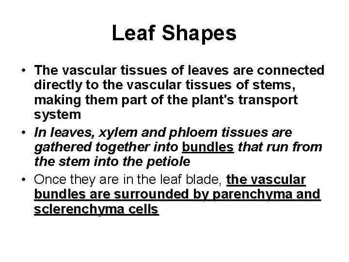 Leaf Shapes • The vascular tissues of leaves are connected directly to the vascular