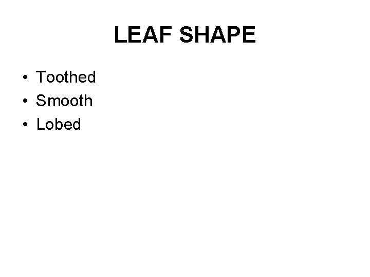 LEAF SHAPE • Toothed • Smooth • Lobed 