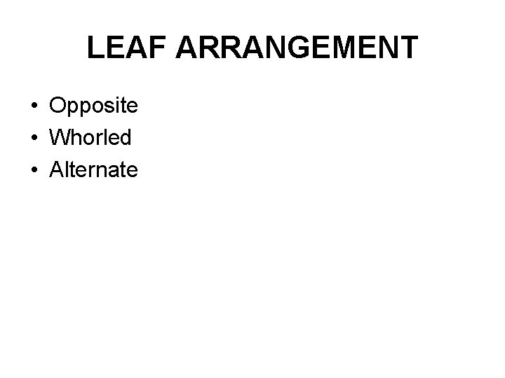 LEAF ARRANGEMENT • Opposite • Whorled • Alternate 