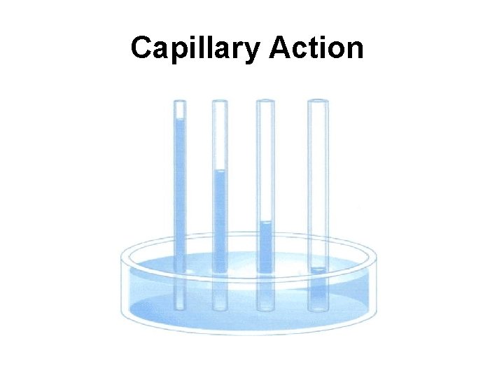 Capillary Action 