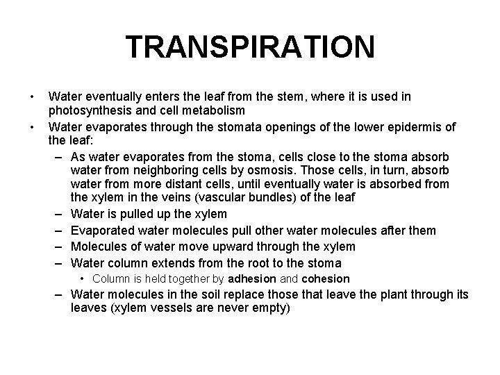 TRANSPIRATION • • Water eventually enters the leaf from the stem, where it is