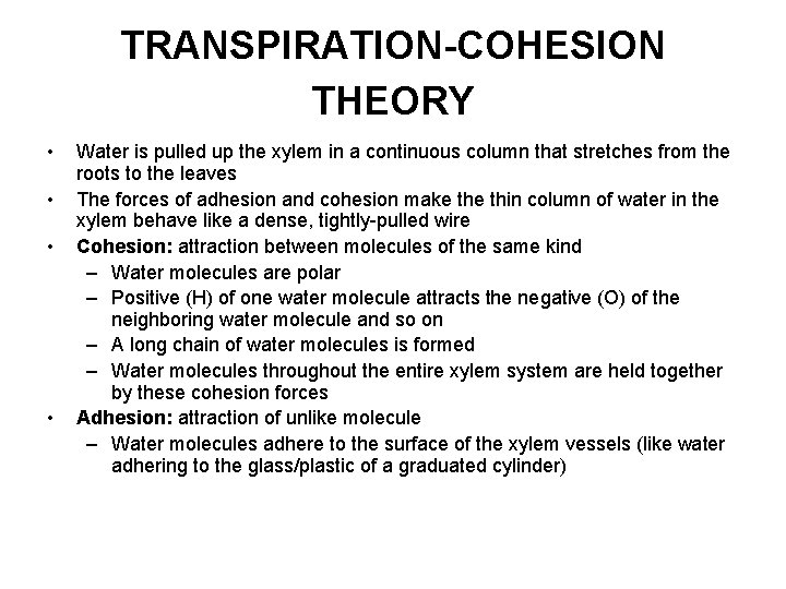 TRANSPIRATION-COHESION THEORY • • Water is pulled up the xylem in a continuous column