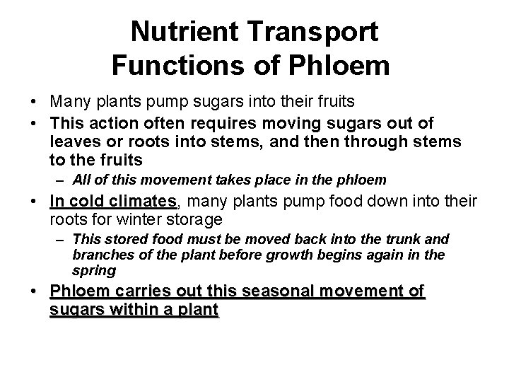 Nutrient Transport Functions of Phloem • Many plants pump sugars into their fruits •