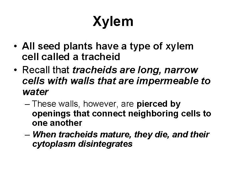 Xylem • All seed plants have a type of xylem cell called a tracheid