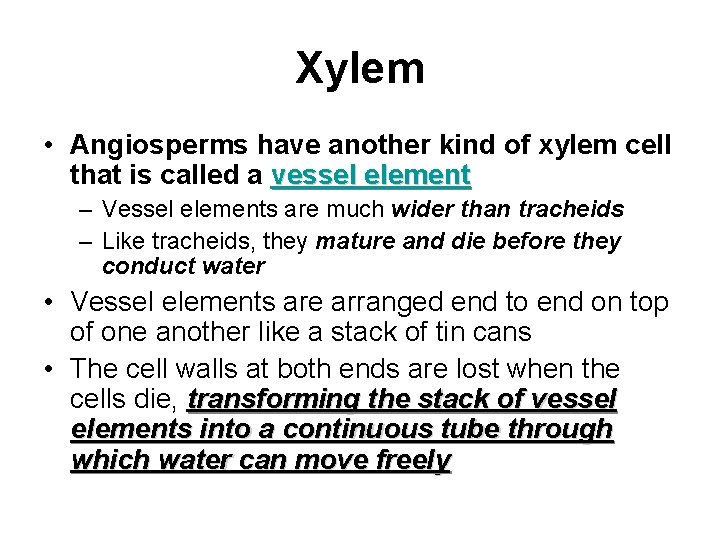 Xylem • Angiosperms have another kind of xylem cell that is called a vessel