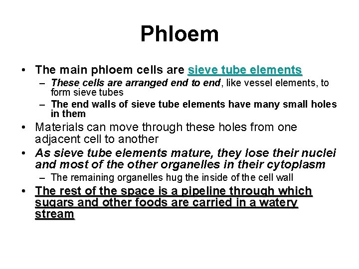 Phloem • The main phloem cells are sieve tube elements – These cells are