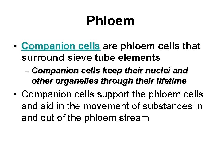 Phloem • Companion cells are phloem cells that Companion cells surround sieve tube elements
