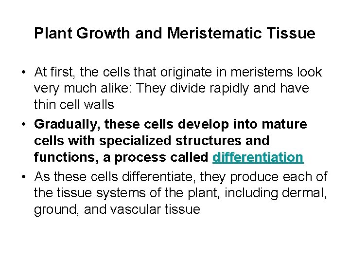 Plant Growth and Meristematic Tissue • At first, the cells that originate in meristems