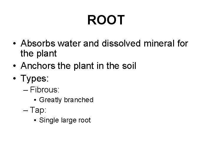 ROOT • Absorbs water and dissolved mineral for the plant • Anchors the plant