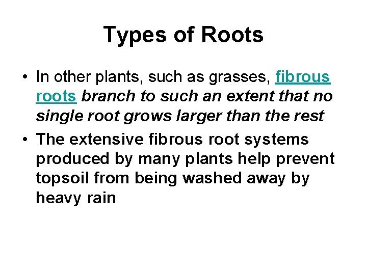 Types of Roots • In other plants, such as grasses, fibrous roots branch to