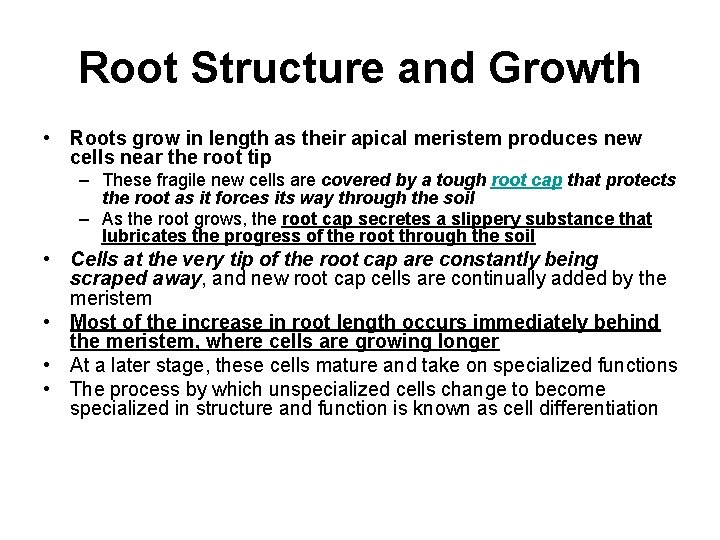 Root Structure and Growth • Roots grow in length as their apical meristem produces