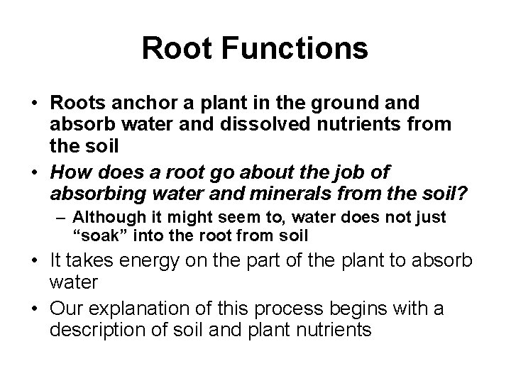 Root Functions • Roots anchor a plant in the ground absorb water and dissolved