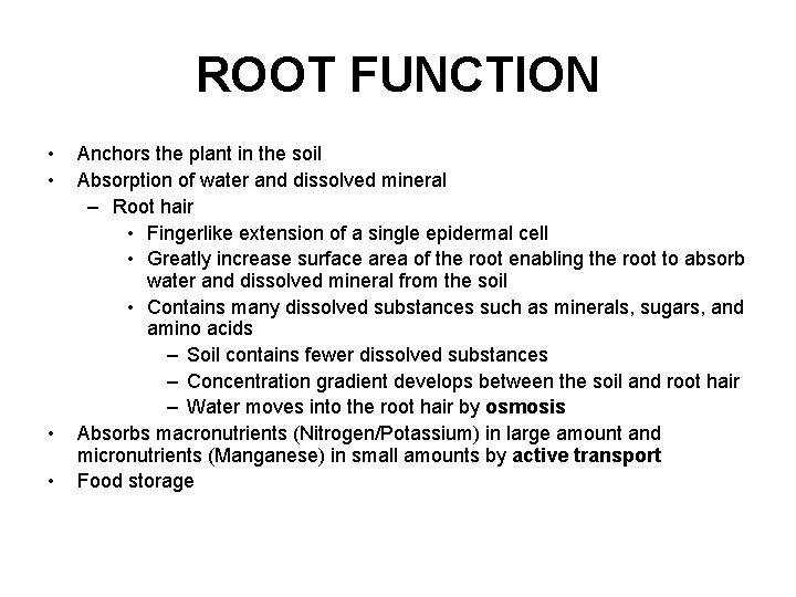 ROOT FUNCTION • • Anchors the plant in the soil Absorption of water and