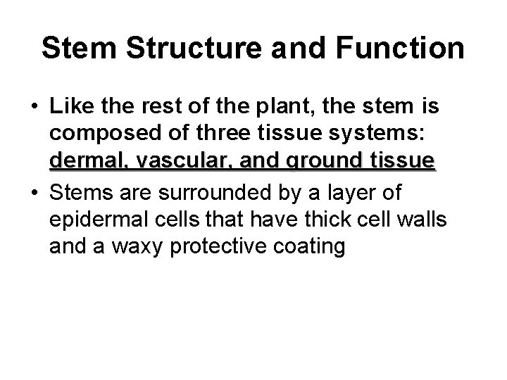 Stem Structure and Function • Like the rest of the plant, the stem is