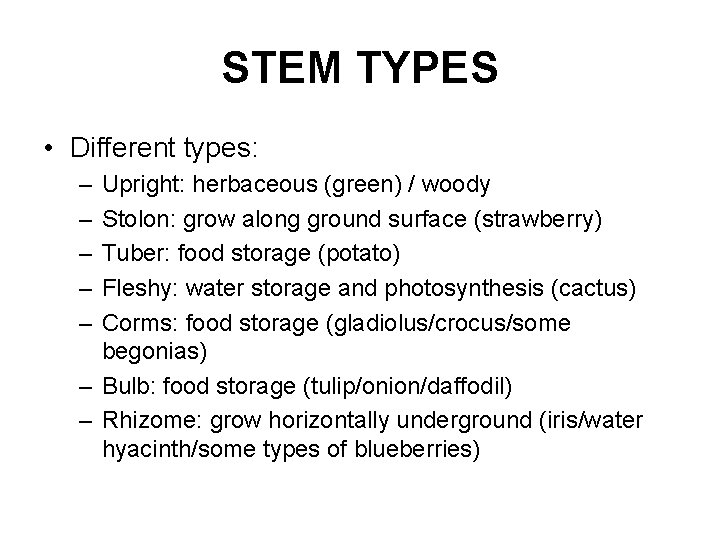 STEM TYPES • Different types: – – – Upright: herbaceous (green) / woody Stolon: