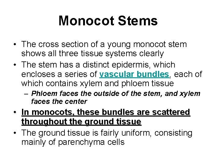 Monocot Stems • The cross section of a young monocot stem shows all three