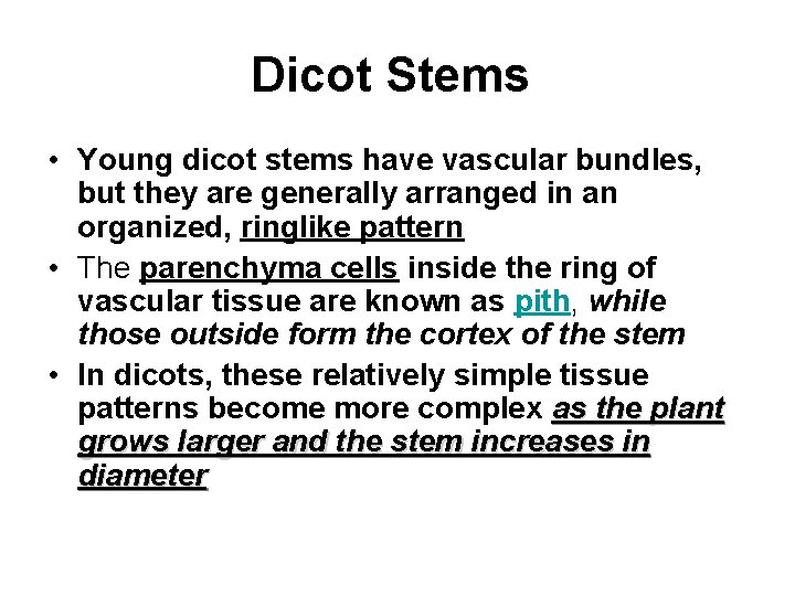 Dicot Stems • Young dicot stems have vascular bundles, but they are generally arranged