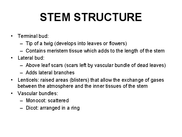 STEM STRUCTURE • Terminal bud: – Tip of a twig (develops into leaves or
